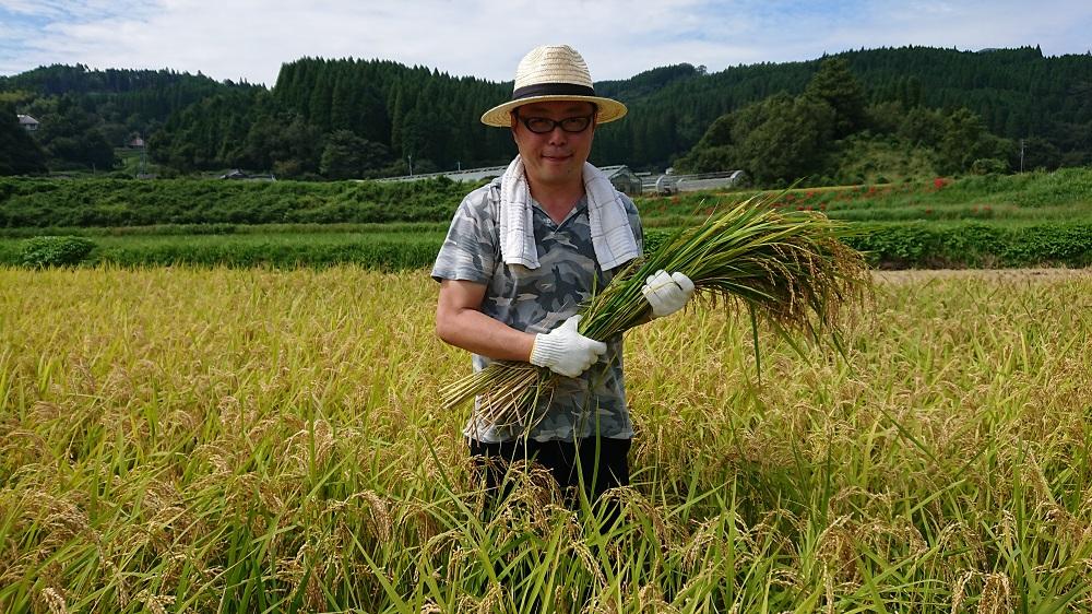 湯布院産 おおくぼさんちの美味しい 白米 10kg【ひとめぼれ】