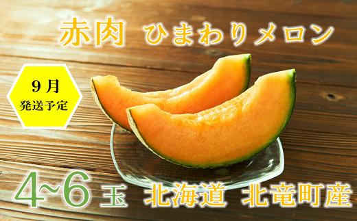 
【先行予約】【令和6年産】北海道北竜町産ひまわりメロン（赤肉）4～6玉×1箱 【国産メロン 北海道産 メロン めろん 果物 くだもの フルーツ デザート】
