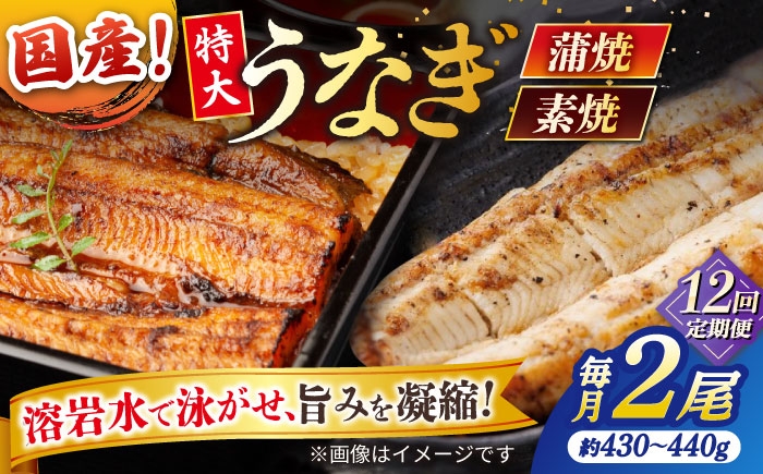 
                  【12回定期便】うなぎ老舗専門店のパリっとふっくら国産うなぎ 蒲焼1尾(蒲焼のタレ付き) 素焼1尾(藻塩付き) 島根県松江市/株式会社山美世商会 [ALDC012]｜国産 うなぎ ウナギ 鰻 特大 蒲焼き 蒲焼 国産 冷蔵 うな重 定期便 
                