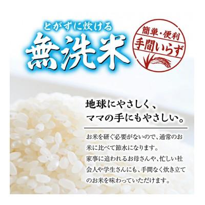 ふるさと納税 酒田市 三ツ星マイスターがお届け!!米どころ庄内米　はえぬき無洗米5kg【令和7年産】精米 |  | 02