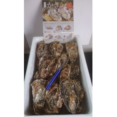 仙鳳趾名産 牡蠣 150～199g×30個+かきナイフ付K4-4【配送不可地域：離島・沖縄県・信越、北陸・東海・近畿・中国・四国・九州】
