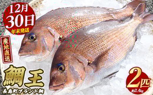 
            【2025年12月30日発送】長島町特産「鯛王」(2匹・約2.4kg) 産地直送 新鮮 旨味が抜群の 長島町 特産品 ブランド 真鯛 をまるごと 一匹 楽しめる 刺身 鯛めし 鯛茶漬け 鯛しゃぶ 鯛刺身 鮮魚 冷蔵 年末発送【JFA】jfa-22-1230R7
          