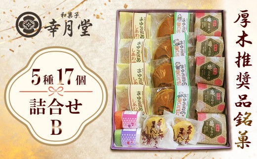 幸月堂　厚木推奨品銘菓　詰合せB ／ 和菓子 最中 モナカ 饅頭 まんじゅう 神奈川県 No.401