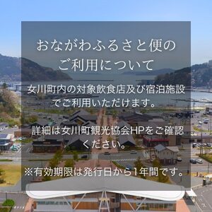 「女川ふるさと便」1000円分×3枚【1674172】