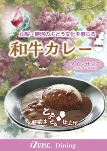 山梨・勝沼のぶどう文化を感じる和牛カレー 10袋セット カレー レトルトカレー 和牛カレー 180g 牛肉 ワイン仕立て ビーフカレー ご当地カレー ワイン仕立て 勝沼のぶどう 山梨県 北杜市
