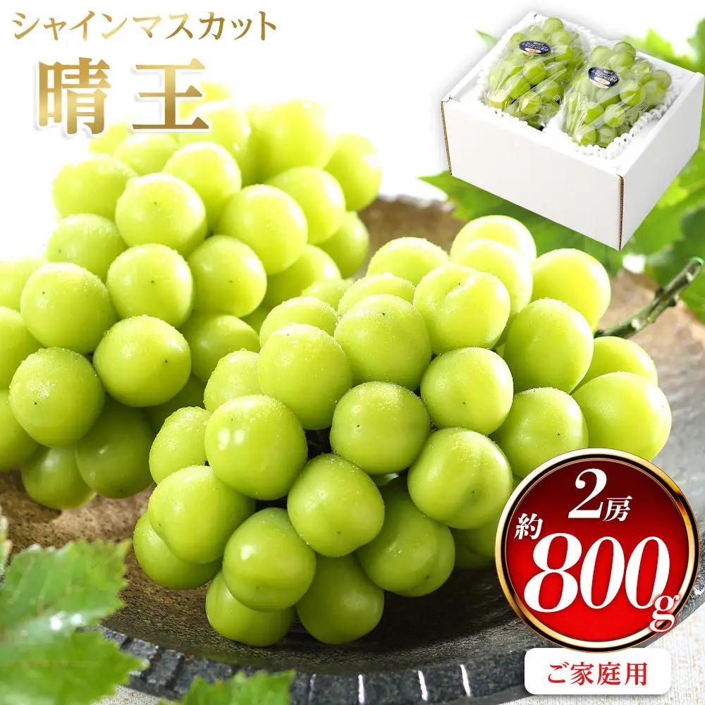 ぶどう 2026年 ご家庭用 シャインマスカット 晴王 約400g×2房 葡萄  岡山県産 国産 フルーツ 果物 | シャインマスカット