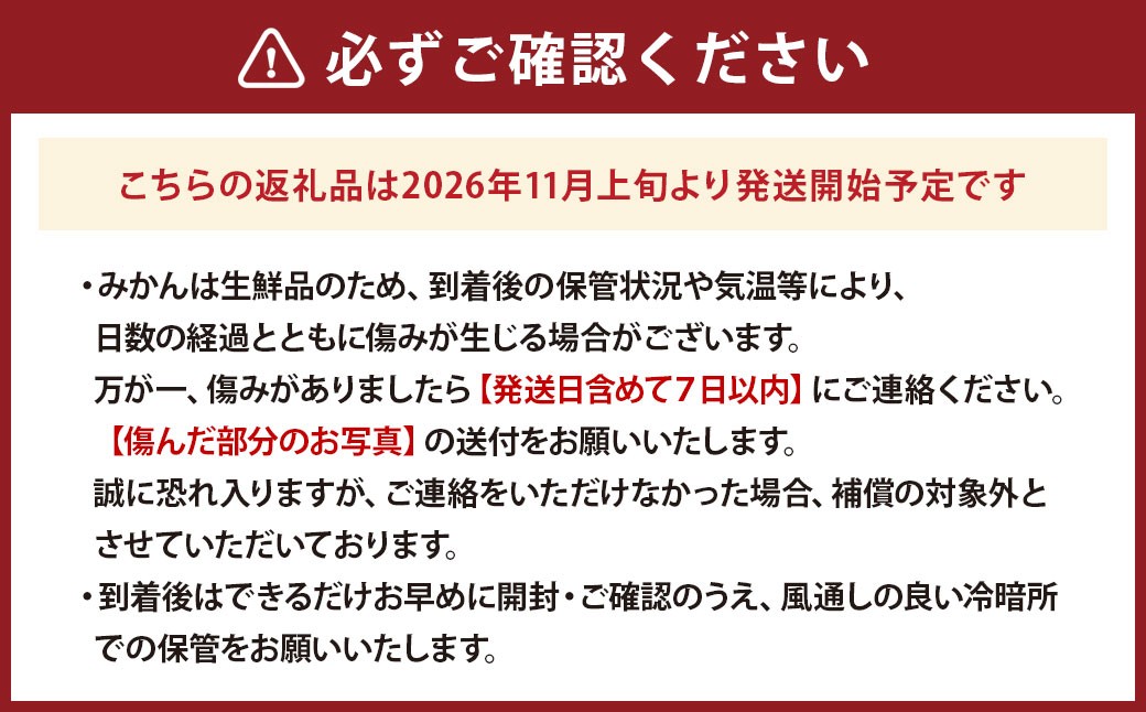 贈答用熊本県産みかん約9.5kg