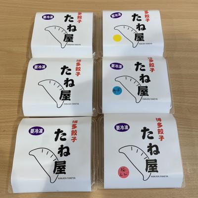 ふるさと納税 福岡市 豚足コラーゲン入り餃子(プレーン3、チーズ&amp;バジル1、桜えび1、季節限定1) VA04
