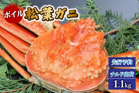 【先行予約】【ボイル松葉がに1.1kg かにの身入りかにみそ 三杯酢付 冷蔵】令和7年11月中旬以降順次配送予定 松葉 かに 蟹 カニ かにみそ香住 新鮮 国産 鍋 かにすき 脚 足 爪 身 肩 大人気  兵庫県 香美町 香住 柴山 ズワイガニ 200000円 マルヨ食品 マルヨダイレクト 17-32