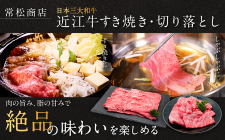 近江牛 すき焼き用500g 切り落とし300g セット（計800ｇ） 3～6人前 有限会社 常松商店 滋賀県 東近江市 C-B07 ブランド牛 和牛 厳選 肉 霜降り 赤身 国産 高級 すきやき 焼肉