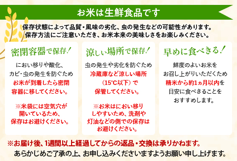 《2024年2月中発送》令和5年産 無洗米 宮崎県産 こしひかり 窒素ガス充填 8kg 2kg×4袋