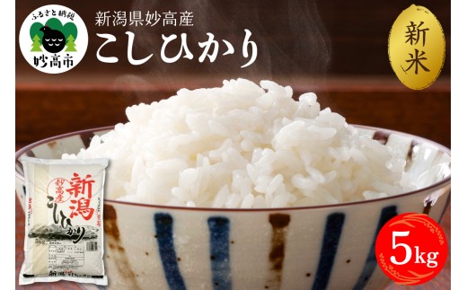 【2026年10月上旬発送】令和8年産 新潟県妙高産コシヒカリ5kg