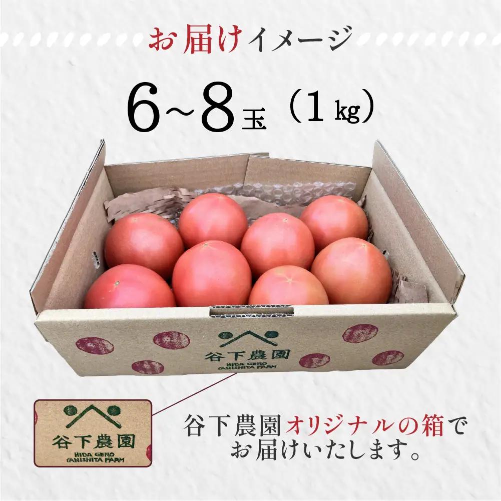 【2026年7月上旬頃から順次発送】 大玉トマト 約 1kg（6～8玉）（サイズ混合）≪谷下農園 有機JAS認証農園の完熟トマト使用≫【61-16】