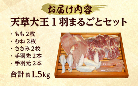 天草大王 1羽まるごとセット 計約1.5kg 【一般社団法人クラッシーノこうし】[AYAB011]