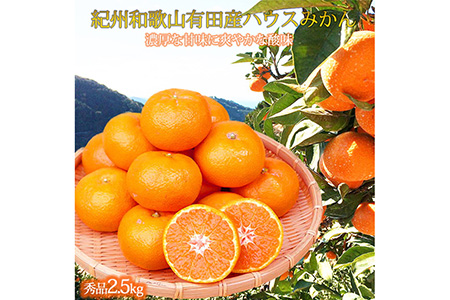 紀州和歌山有田産ハウスみかん 2.5kg 化粧箱入 ふるさと納税 ミカン ｜みかん ミカン 蜜柑 フルーツ みかん ふるーつ みかん 果物 みかん くだもの みかん 和歌山 みかん※2026年7月上旬〜7月下旬頃に順次発送予定