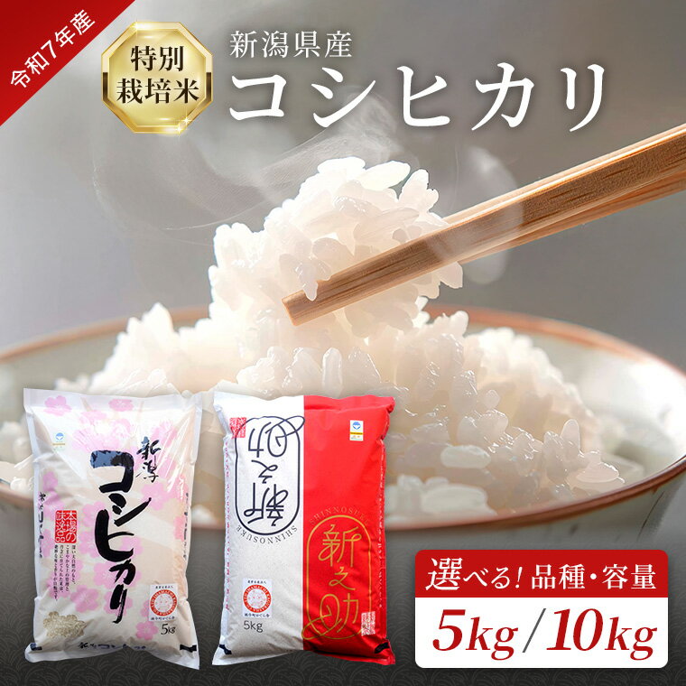 【ふるさと納税】令和7年産 特別栽培米 新潟県産コシヒカリ（白米）5kg,10kg 　令和7年度産 米 新潟県産特別栽培米新之助（白米）5kg,10kg 今町かぐら舎
