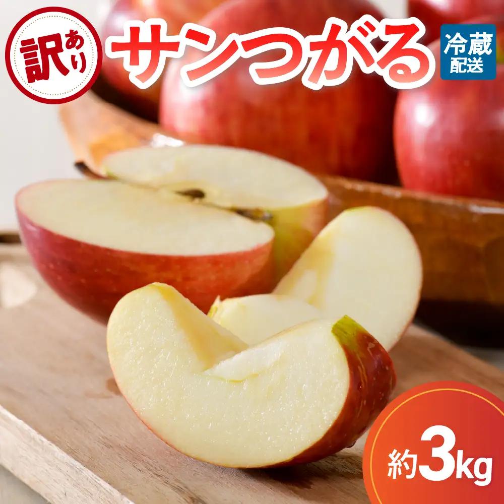 【9月発送】【訳あり】 りんご 約3kg サンつがる 青森県産 りんご 