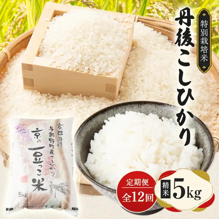 【毎月定期便】京都府与謝野町産 丹後コシヒカリ 精米5kg　特別栽培米 京の豆っこ米全12回【4083193】