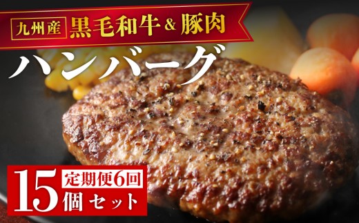 ＜定期便・全6回＞九州産黒毛和牛と九州産豚肉 ハンバーグ 15個セット | 国産牛 国産豚 肉汁 ジューシー 九州産 個包装 小分け 無添加 冷凍 惣菜 おかず 夕食 時短 簡単調理 送料無料 福岡県 那珂川市