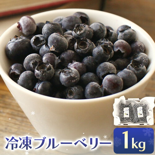 【ふるさと納税】 産地直送 冷凍ブルーベリー 1kg (500g×2袋) 紀のファーム株式会社 《5月中旬-8月上旬頃出荷予定》 和歌山県 紀の川市