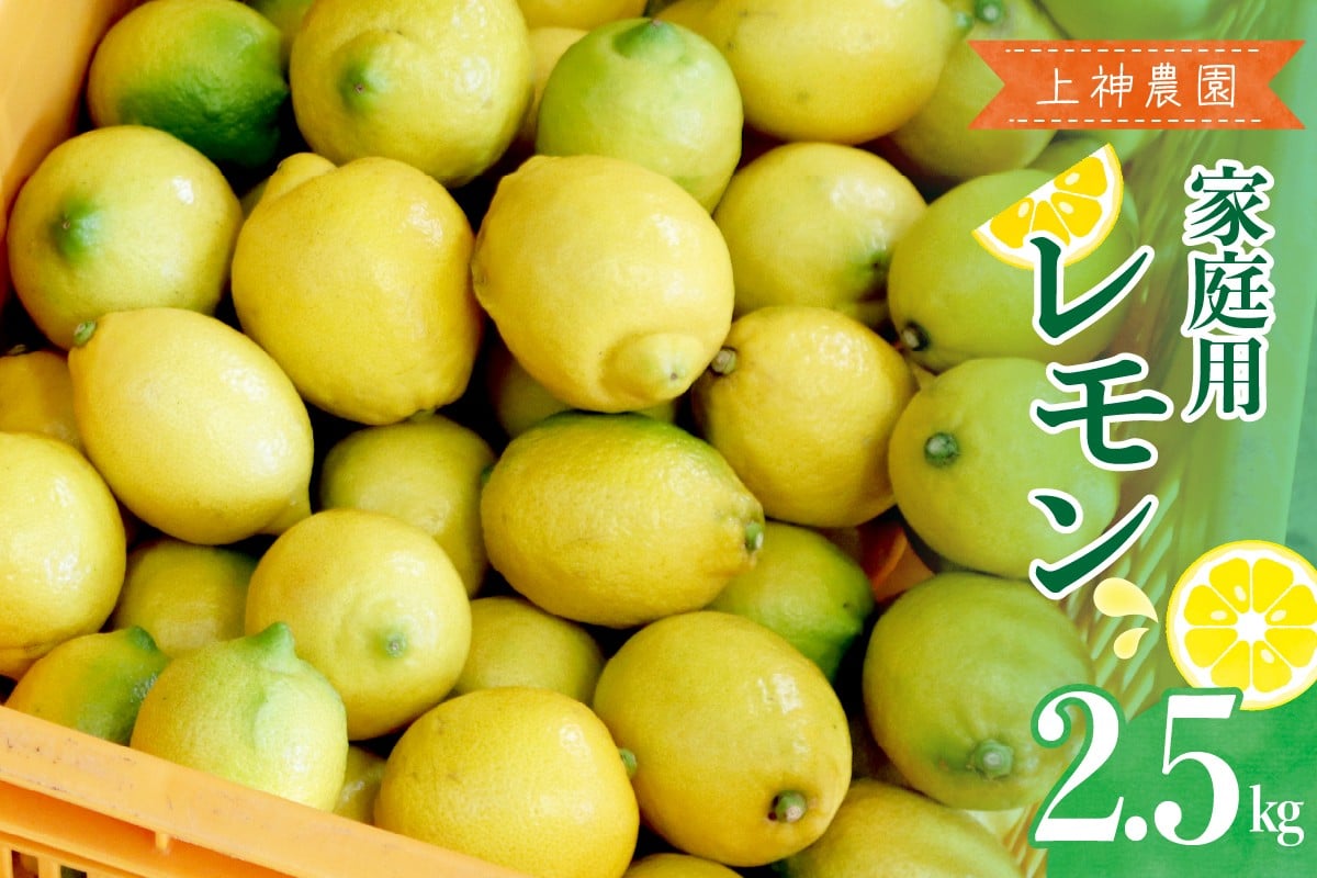 
            【2025年11月～発送】上神農園 家庭用 広島産 レモン 約2.5kg ku011-041-25
          