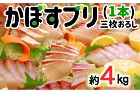 こんなブリ食べたことない！？「うすき産かぼすブリ」約４ｋｇ（１本）