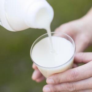 【頒布会】【八海山　乳酸発酵のあまさけGABA118g×30本】×全6回