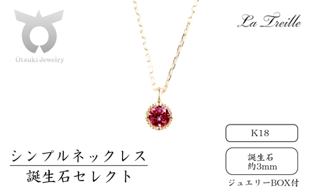 シンプルネックレス　Ｋ18（誕生石）