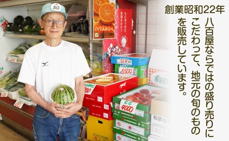 和歌山産小玉すいか ひとりじめ7(2～3玉)