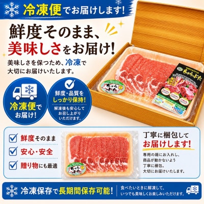 沖縄県産ブランド豚 ちゅらぶた ロースしゃぶしゃぶ用スライス 500g×1P【配送不可地域：離島】