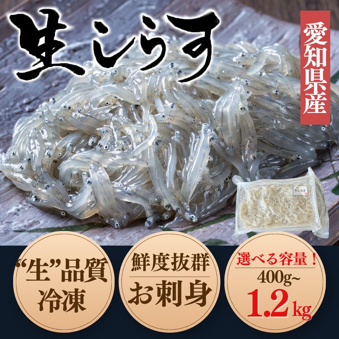 【ふるさと納税】 容量 選べる 生しらす お刺身 約400g~1.2kg 岬だより 冷凍 小分け 真空 便利 簡単 ( 刺し身 しらす 魚 さかな 海鮮 ふるさと納税刺身 ふるさと納税刺し身 ふるさと納税しらす ふるさと納税生しらす 愛知県 南知多町【配送不可地域：北海道、沖縄、離島】