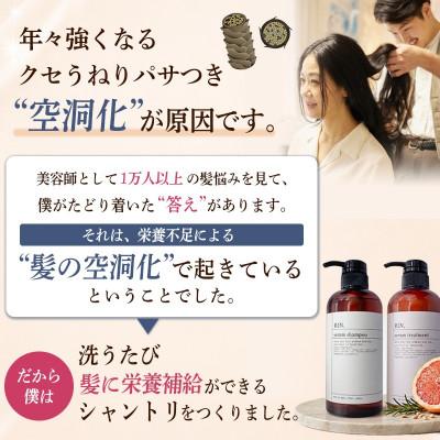 ふるさと納税 高槻市 【毎月定期便】RIN.美容液アミノ酸シャンプー 500ml【髪の悩み専門美容師が作った】全6回 |  | 01