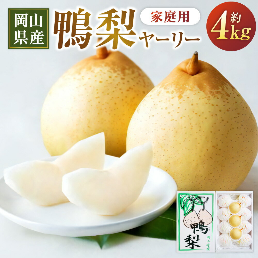 【ふるさと納税】鴨梨 ヤーリー 約4kg 6～13玉 家庭用 なし ナシ フルーツ くだもの 果物 果実 岡山県産 岡山県 美咲町 送料無料 【2025年11月下旬～12月下旬発送予定】