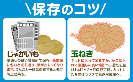 北海道名寄市産 じゃがいもと玉ねぎセット 10kg じゃがいも 5kg 秀品 玉ねぎ 5kg