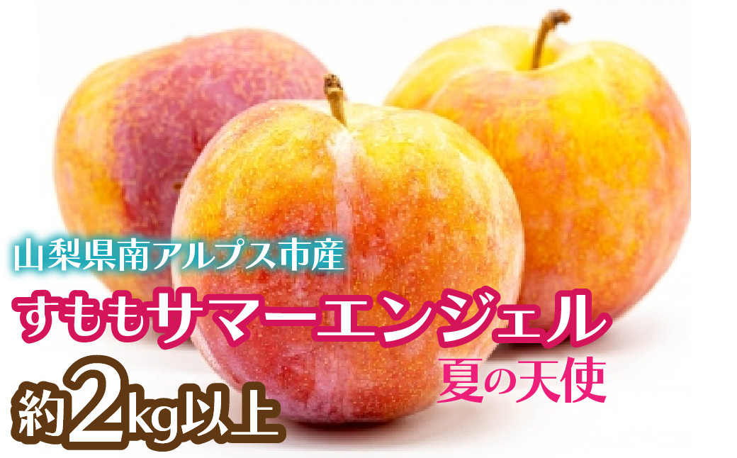 
            【2025年発送先行予約】すもも　サマーエンジェル「夏の天使」約2kg以上 ALPCZ009
          