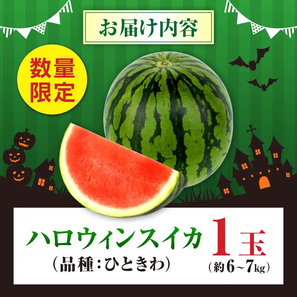 【先行予約】【2026年10月上旬より順次発送】熊本 ハロウィンすいか 1玉（約6～7kg） すいか[AYAB031]
