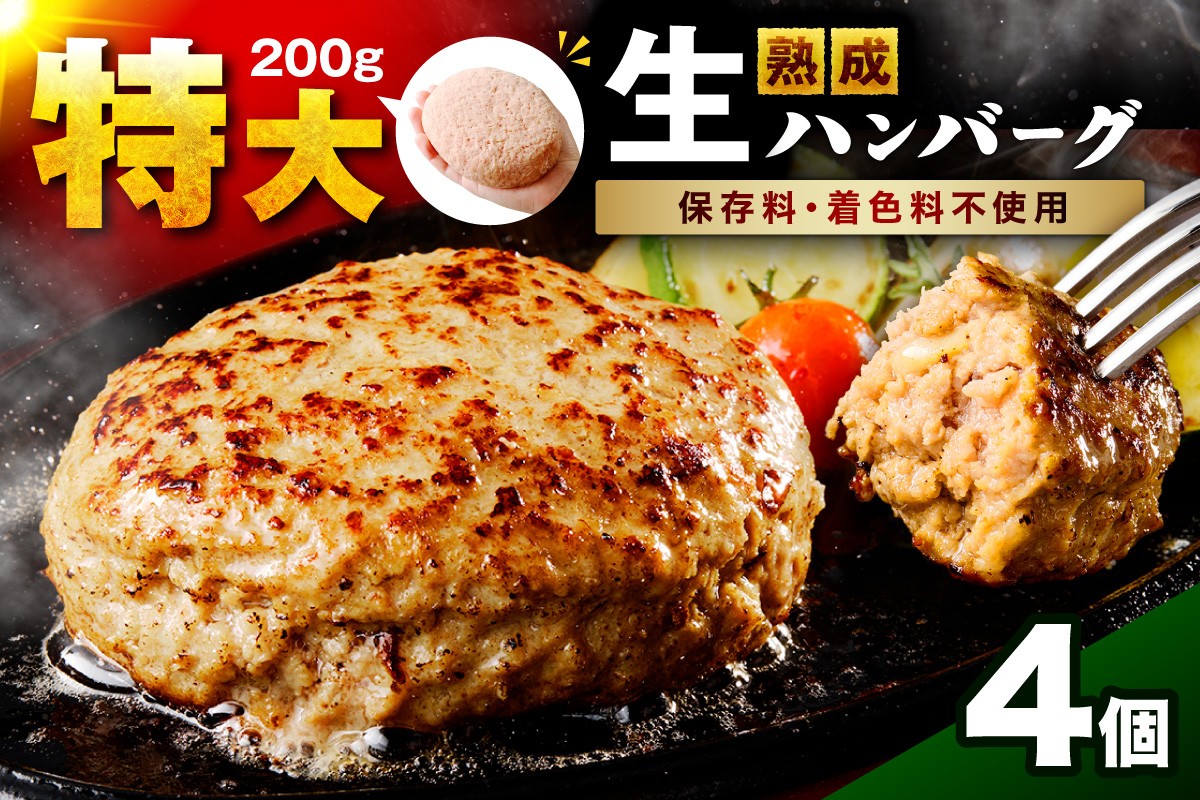 
                  【無添加・粗挽き】食べ応え抜群！生ハンバーグ 200g 4個【087D-143】
                