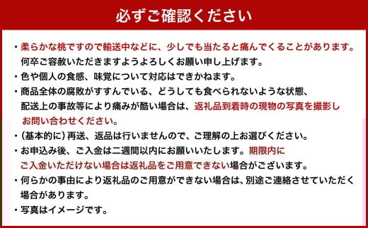 【 ご 家庭用 】 岡山 白桃 2種 2玉 500g 【 2026年7月上旬から9月上旬頃発送予定 】 ／ 果物 くだもの フルーツ もも 桃 甘い 香り 柔らかい ジューシー 美味しい 岡山県 美咲