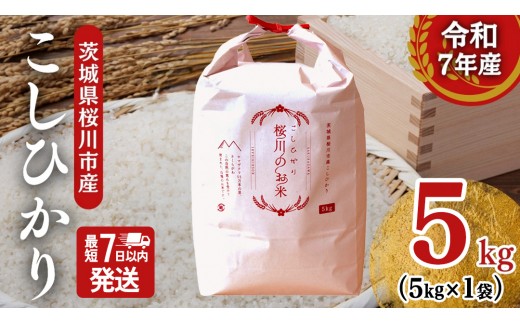 
                  ＼スピード出荷／ 令和7年産 茨城県 桜川市産 こしひかり5kg（5kg×1袋） スピード 最短 7日 すぐ届く すぐ発送 スピード発送 早い [SC051sa-sp]
                