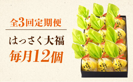 【3回定期便】お菓子 はっさく大福12個入 お菓子 大福 八朔 柑橘 みかん オレンジ 餅 ギフト お取り寄せ スイーツ フルーツ大福 ご当地 菓子 おかし デザート 食品 人気 おすすめ 広島県福山