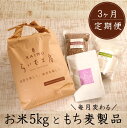 【ふるさと納税】食物繊維を定期的に！お米5kgともち麦製品の3ヶ月定期便/計3回発送