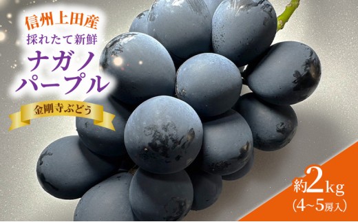 
                  ナガノパープル 信州上田産金剛寺ぶどう 約2kg 4～5房 ぶどう 葡萄 ブドウ 長野パープル 2kg 果物 くだもの フルーツ デザート 旬の果物 旬のフルーツ 長野県 長野
                