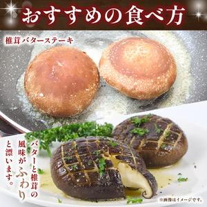 大きな生椎茸 600g しいたけ 