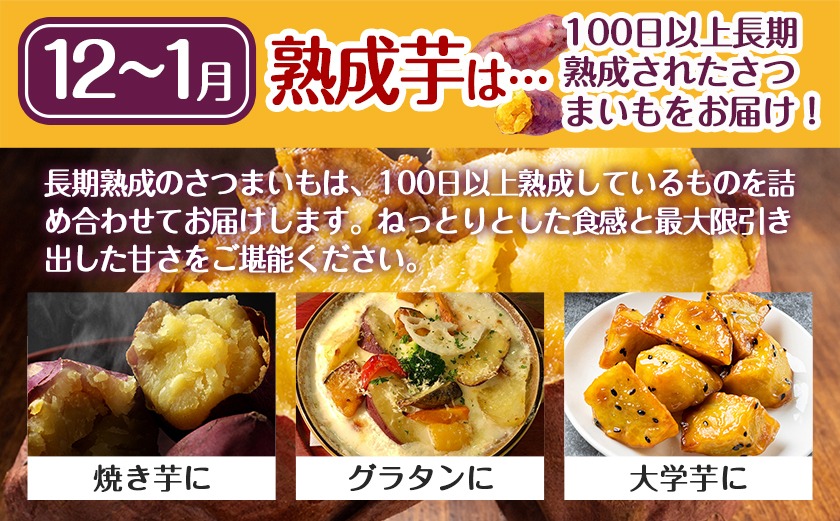 【熟成芋】芋名人が認めるさつまいも『洗い済み　紅はるか』MS～2Lミックス ※12月～1月頃順次発送_LG-L701-J