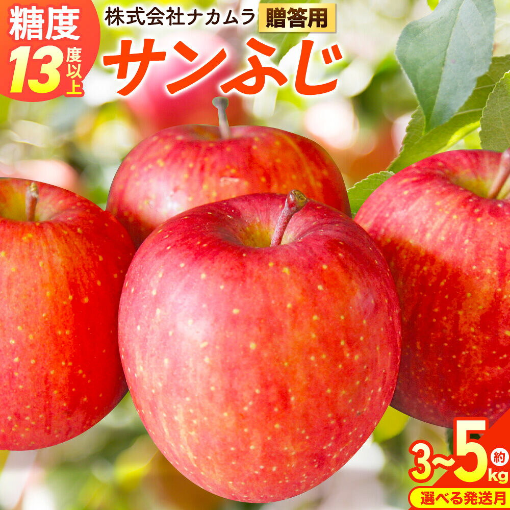 【ふるさと納税】りんご【選べる 26年12月〜27年3月 発送】サンふじ【贈答用】【選べる約 3kg／5kg】糖度13度以上 先行受付 青森県産 林檎 リンゴ 果物 くだもの フルーツ 青森県 弘前市 [先行予約 産地直送 ギフト 贈り物 アップル]