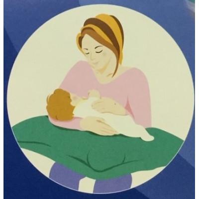 ふるさと納税 泉大津市 安心の日本製　授乳クッション枕　1個　綿100%の専用カバー(ファスナー式)　ブルー　2枚付 |  | 03
