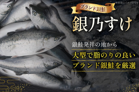 銀鮭 銀乃すけ 約100g 1切入 計16切
