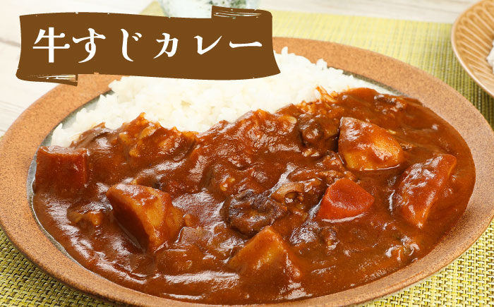 航空自衛隊 築城基地 名物 隊員食堂 カレー (中辛 2個 + 牛すじ 3個)《築上町》【NPO法人築上町観光協会】 レトルトカレー [ABAX001] 12000円 1万2千円