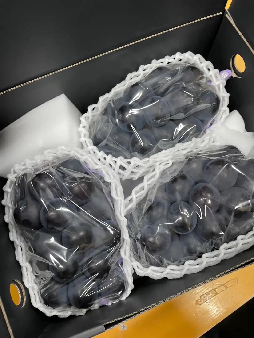 【2026年発送★先行予約】笛吹市産　藤稔　1.0kg(2～3房) 227-013-26y