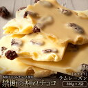 【ふるさと納税】【10月～4月配送限定】スイーツ 割れチョコ ラムレーズン 200g×2割れチョコ 訳あり チョコレート チョコ 割れチョコ スイーツ詰め合わせ 大量 お菓子 子供 お取り寄せスイーツ規格外 不揃い 禁断の割れチョコショコラティエ お試し